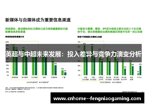 英超与中超未来发展：投入差异与竞争力演变分析