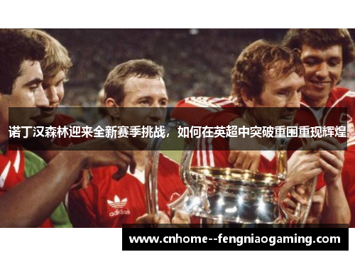 诺丁汉森林迎来全新赛季挑战，如何在英超中突破重围重现辉煌