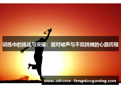 训练中的挑战与突破：面对嘘声与不屈拼搏的心路历程