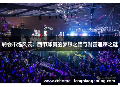 转会市场风云：西甲球员的梦想之路与财富追逐之谜