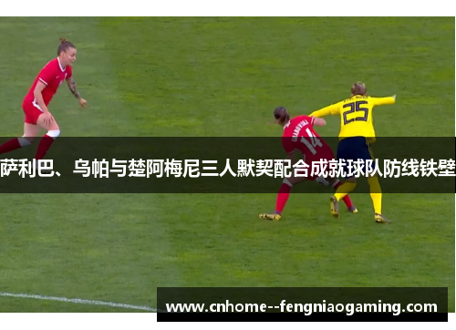 萨利巴、乌帕与楚阿梅尼三人默契配合成就球队防线铁壁