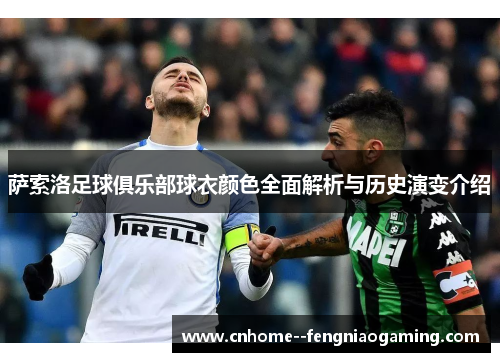 萨索洛足球俱乐部球衣颜色全面解析与历史演变介绍