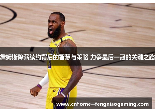 詹姆斯降薪续约背后的智慧与策略 力争最后一冠的关键之路