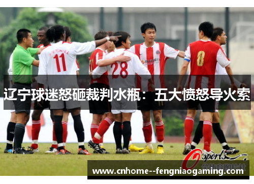 辽宁球迷怒砸裁判水瓶：五大愤怒导火索